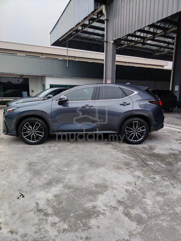 2022 Lexus NX250 2.5 LUXURY (A) - 4