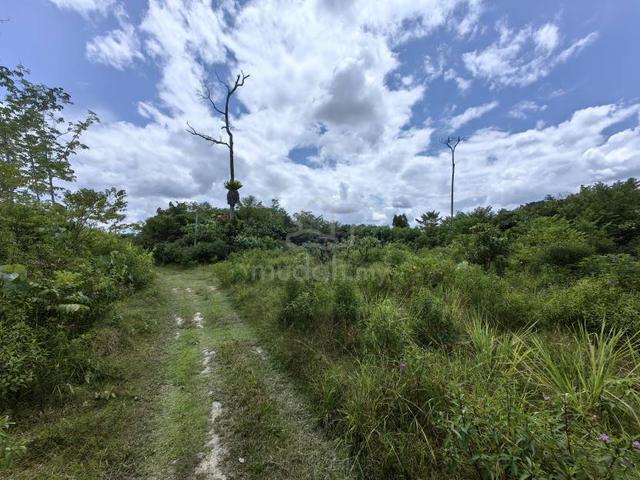 2.5 Acres Freehold Agriculture Land Kerambit Sg Lik Cheka Kuala Lipis 1