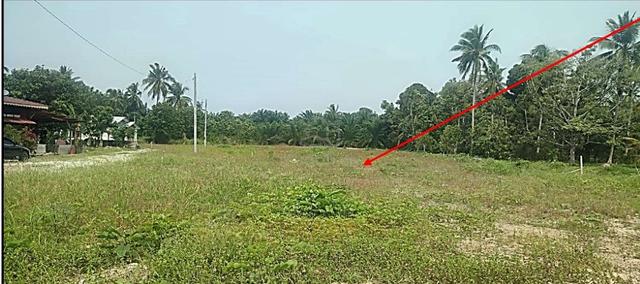 tanah freehold merlimau - semua kaum bole beli 1