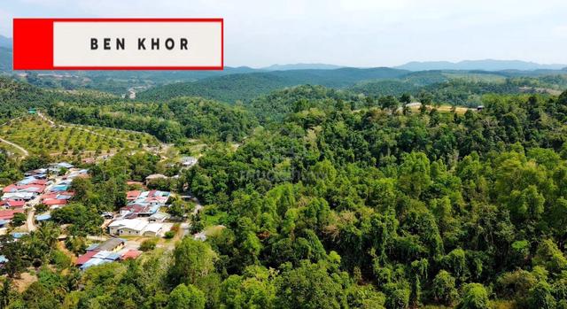 35 acres | Agricultural land | Near Kulim Town | Kulim | KEDAH 1