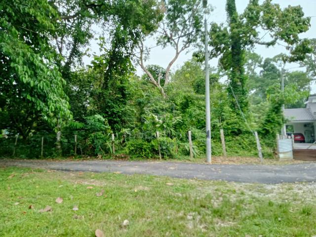 Tanah Pertanian Ayer Hitam Mukim Pekan, Pekan 1