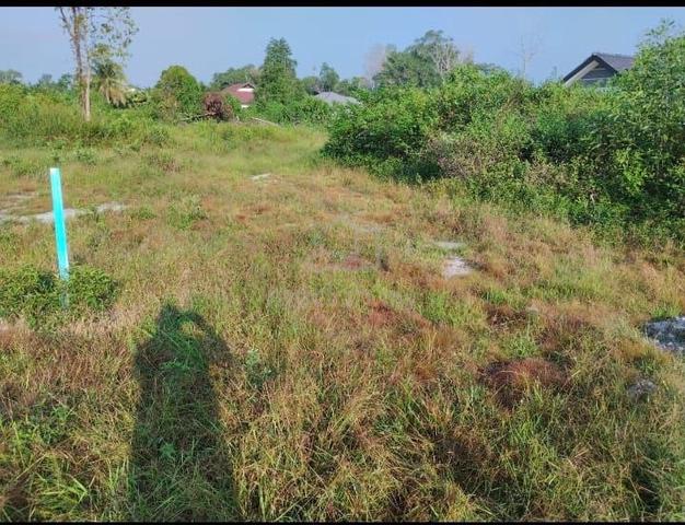 TANAH LOT BANGLO PULAU SERAI, MUKIM PAHANG TUA, PEKAN UNTUK DiJUAL ❗ 1