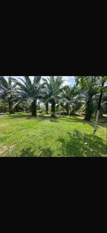 tanah untuk dijual 1