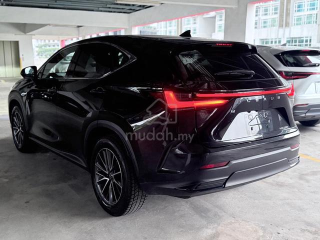 2021 Lexus NX250 VERSION L BROWN INT GRADE4.5 - 2
