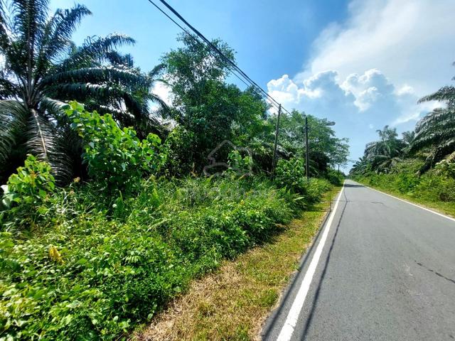 7 EKAR : KG SUNGAI BOH, KUKUP, PONTIAN (International Lot) TANJUNG BIN 1