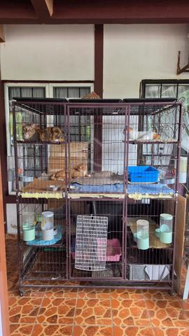 Cat Cage Double Layer - photo 3 of 3