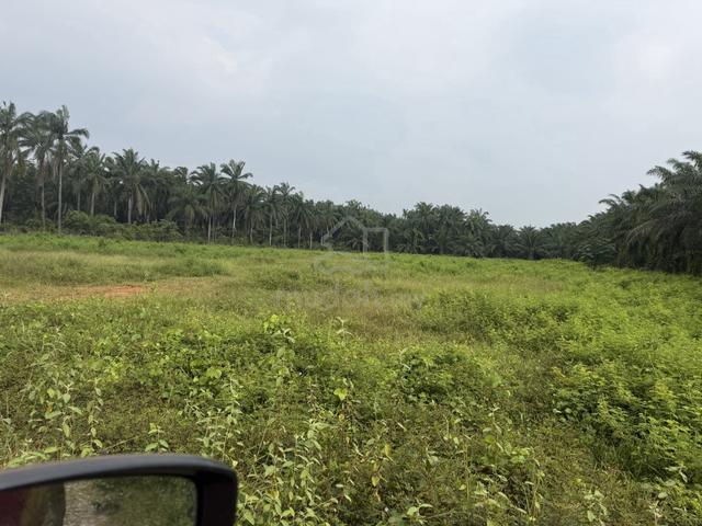 Lot Banglo Zoning Kediaman Utk di Jual di Kg Jaya Setia Bestari Jaya 1