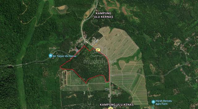 Palm Oil Land for Sale @ Manong 1