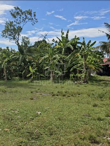 Land For Sale 1