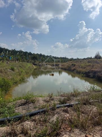 FREEHOLD | GENUANG SUNGAI SEGAMAT Johor 1