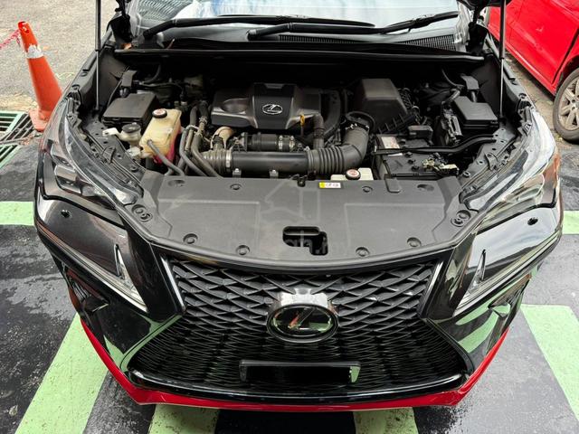 2021 Lexus NX300 2.0 SPICE & CHIC EDITION (A) - 3