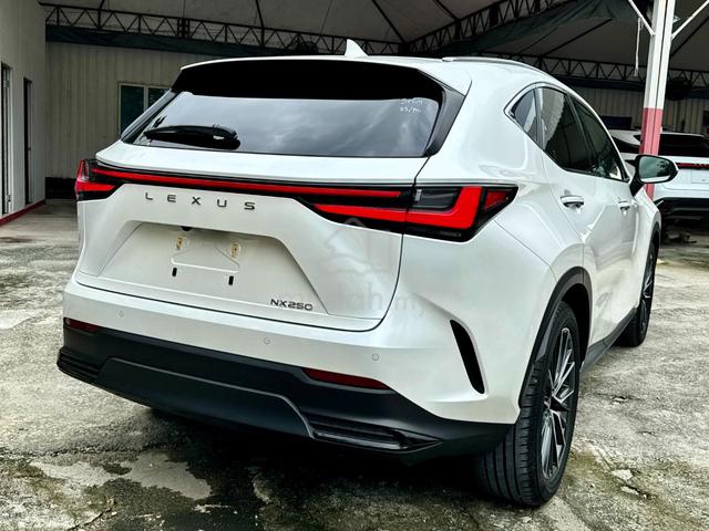 ‼️5A‼️VERSION-L 2023 Lexus NX250 2.5 DIM 360 PROOF - 4