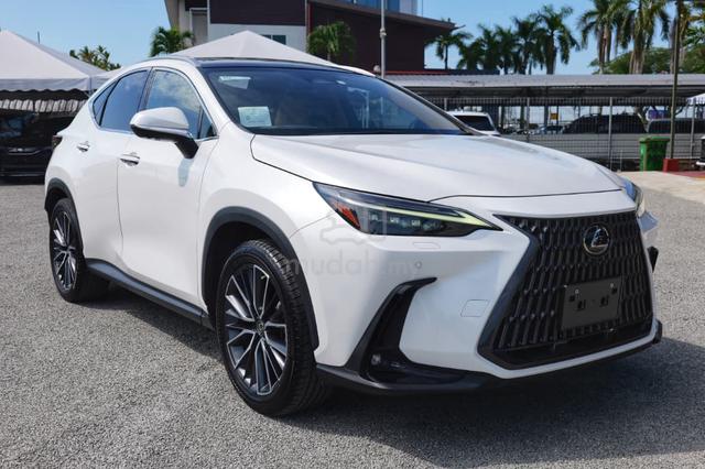 2023 Lexus NX 250 2.5 LUXURY (A) - 1