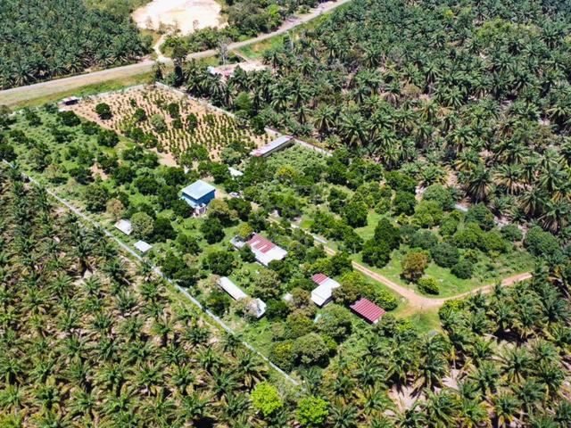 Simpang Renggam 5.5 Acre Freehold Orchard Land Near Tar Road Resi Zone 1