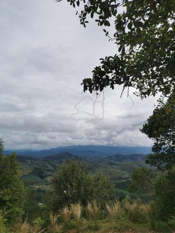 Bukit liman kati, Kuala Kangsa 1