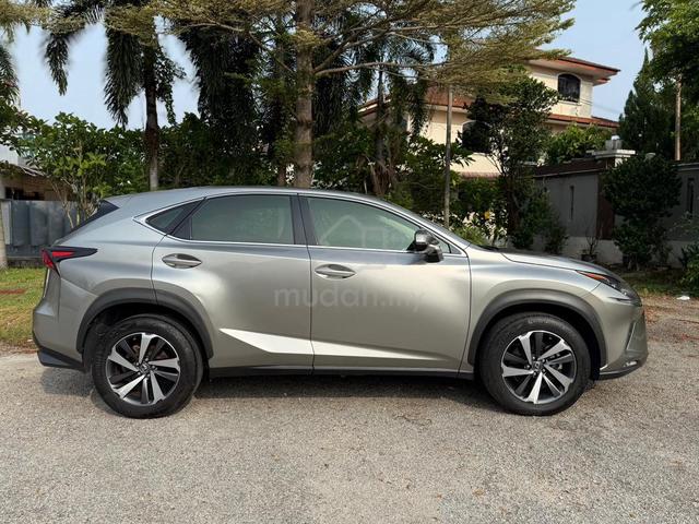 2018 Lexus NX 300 2.0 PREMIUM (A) - 5