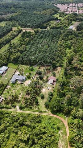 TANAH KEBUN & RUMAH ⭐️ di Kuala Linggi near Akademi Laut Malaysia ALAM 1