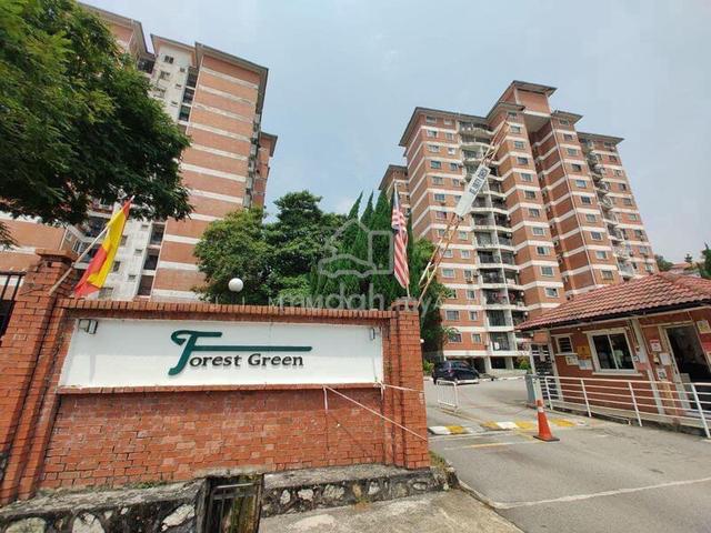 Forest Green 1