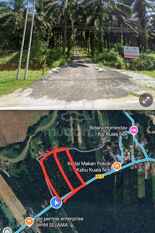 Selama Land Besides Main Road Oil Palm Tree Land For Sales 3