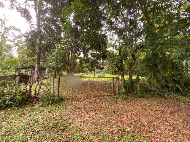 Tanah Pertanian Dusun 1.2 Ekar Di Beserah,Kuantan 1