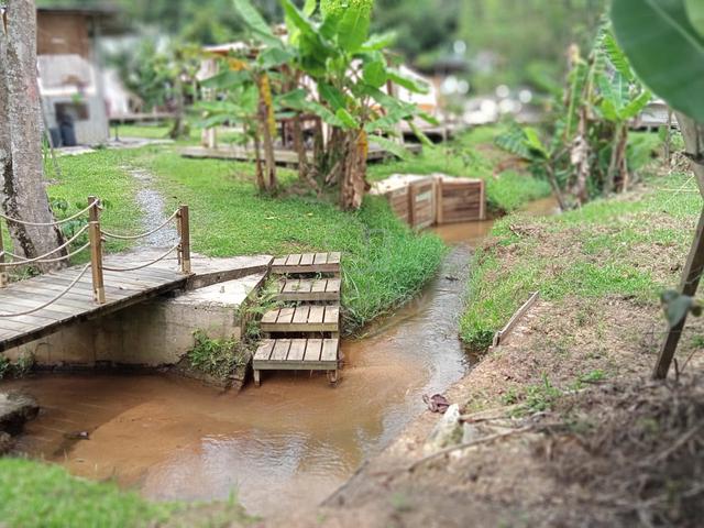8.66 Ekar Tanah Dusun Janda Baik Untuk Dijual 1