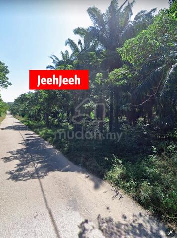 Suitable for SOLAR / Land for SALE @ Bukit Selambau Kedah 1