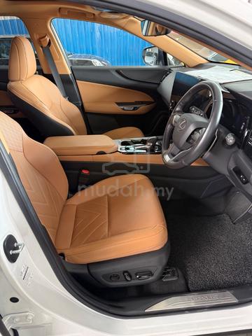 2022 Lexus NX250 2.5 L  (A) Grade 4.5A - 5
