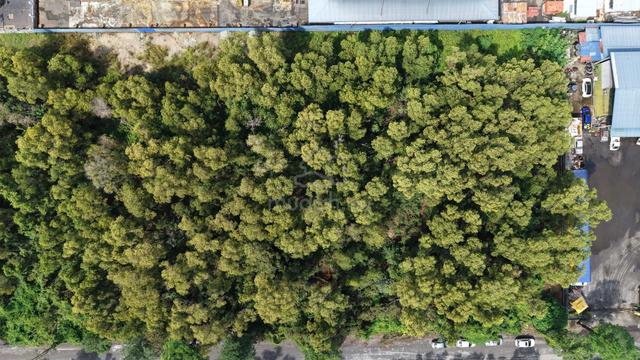 Batu Arang Agriculture land for rent 1