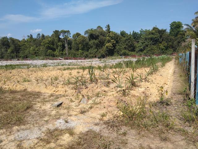 Pengerang 1