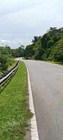 Tanah pertanian sebelah jalan raya dan ada air mata air yg mengalir 1