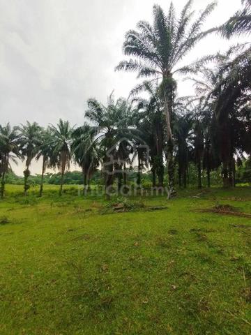 Agri Land zoning Industrial for Sale @ Klebang Prima, Ipoh 5