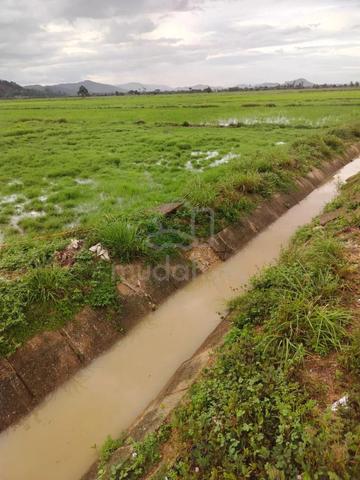 Tanah bendang untuk dijual 1