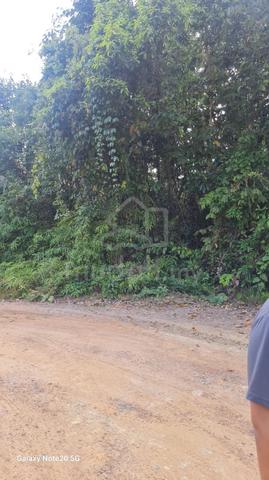 Tanah pertanian berhampiran Pasir Akar untyk dijual 1