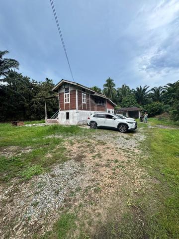 TanahPontian 5 Ekar ( Rumah) Mainroad | FreeHold | International Lot 1