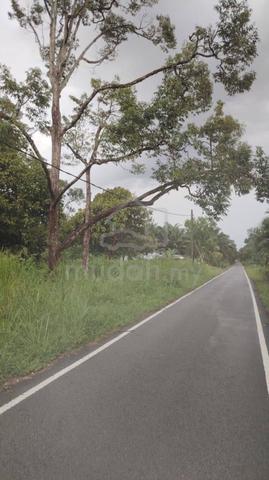 3 Acres Agriculture Zoning Industrial Land @ Pekan Nanas Batu 26 Johor 1