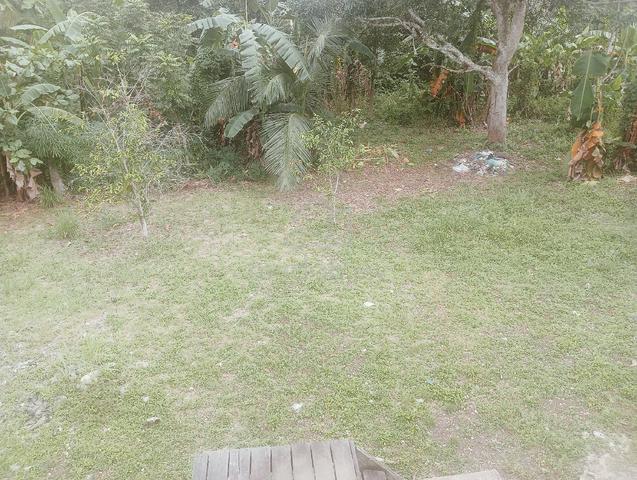 Tanah untuk di sewakan 1