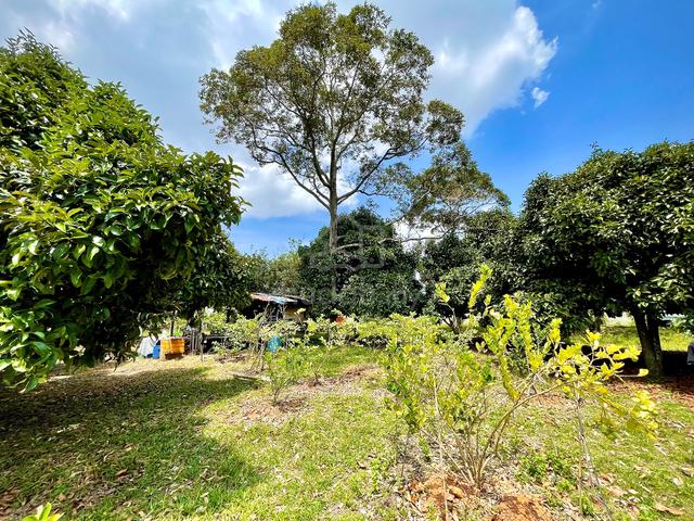 TANAH CANTIK & RATA UNTUK DIJUAL | MURAH | EASY ACCESs JALAN BESAR 1