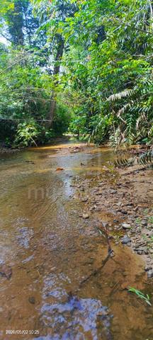 Tanah tepi sungai 1