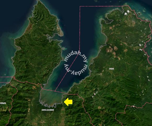 2.91 Acres Native Land in Kota Marudu good for bird's nest farming 1