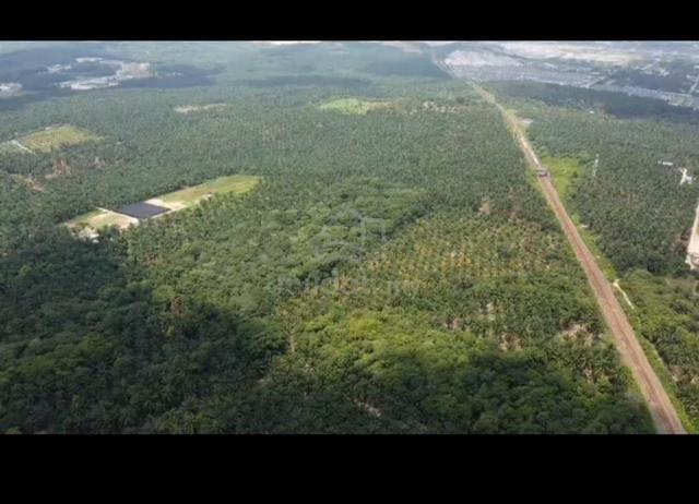 free hold land agriculture (kebun sawit) 1