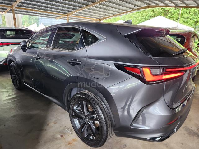 2023 Lexus NX 250 2.5 LUXURY LSBROWN 20 4LED 2MS - 4