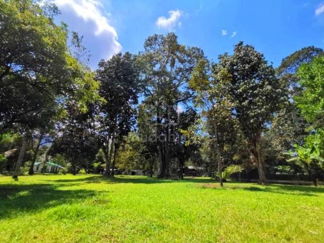 [FREEHOLD ] 3.65 ekar Land Durian Orchard Farm Sg Lui Hulu Langat 1