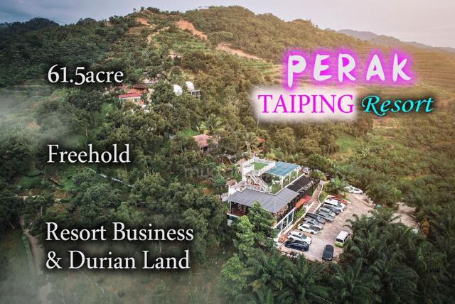 Taiping Perak Freehold 61.5acre Resort Business & Durian Farm 1