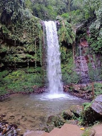 Land Near Mahua Waterfall 1
