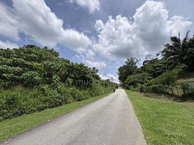 Tanah freehold antarabangsa di Kulim untuk dijual 1