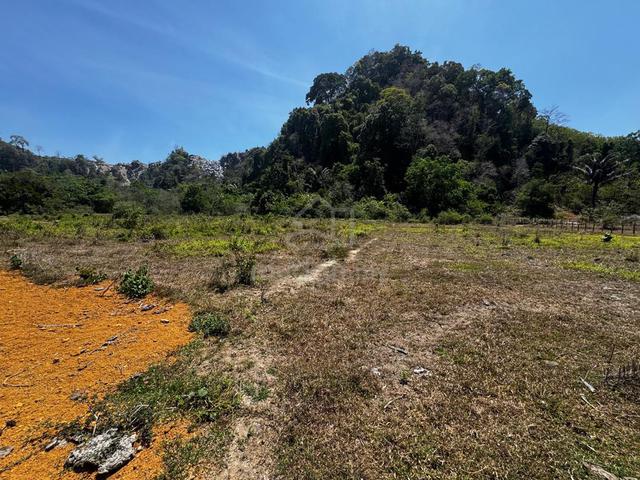 Agricultural Freehold Land For Sale - Ewa, Langkawi 1