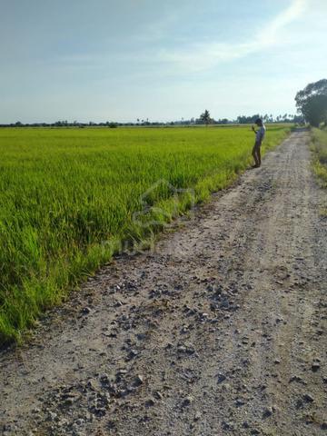 Tanah Singkir 1