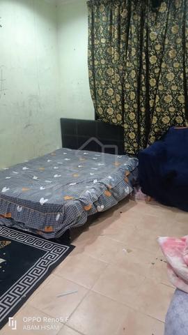 Semid Damansara kuantan murah bawah market value 4