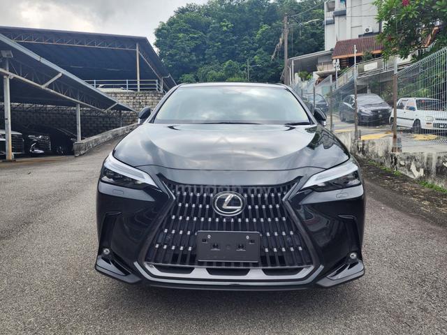 2022 Lexus NX250 2.5 LUXURY (A) - 4