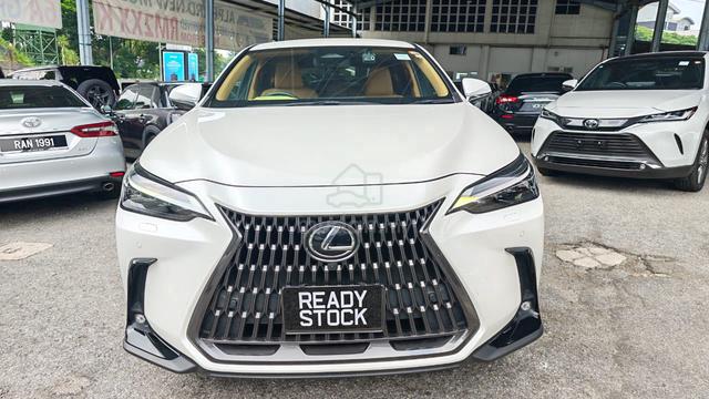 2023 Lexus NX 250 2.5 LUXURY (A) GRADE 5A - 4